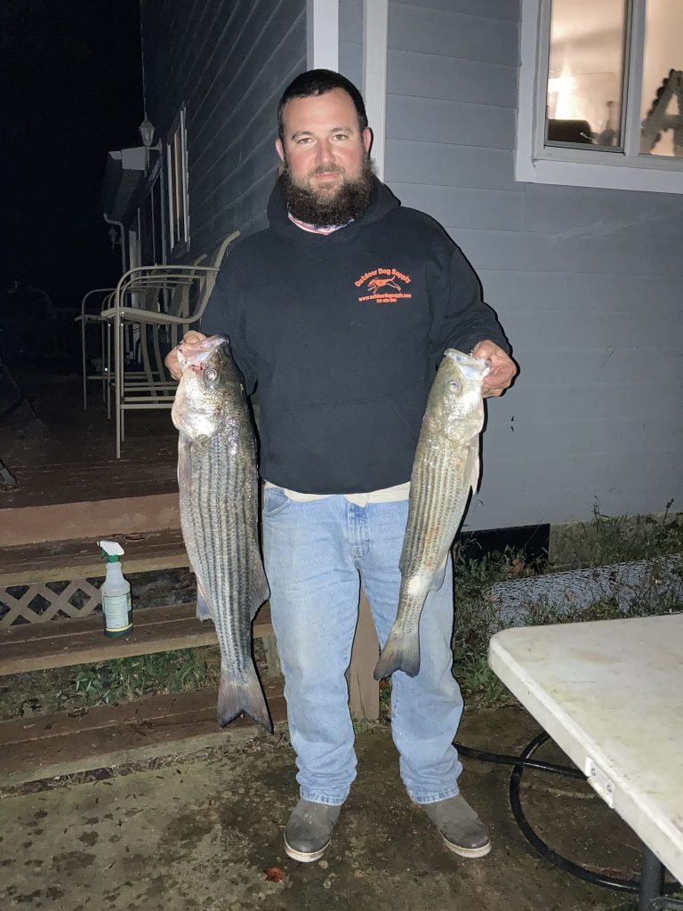 striped bass fishing