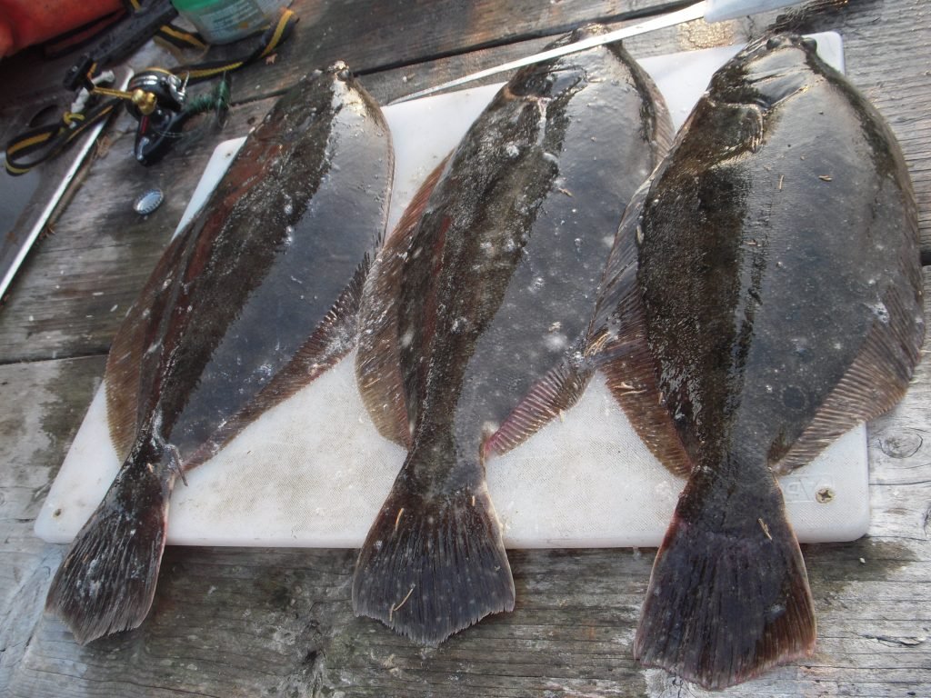 Flounder time of year