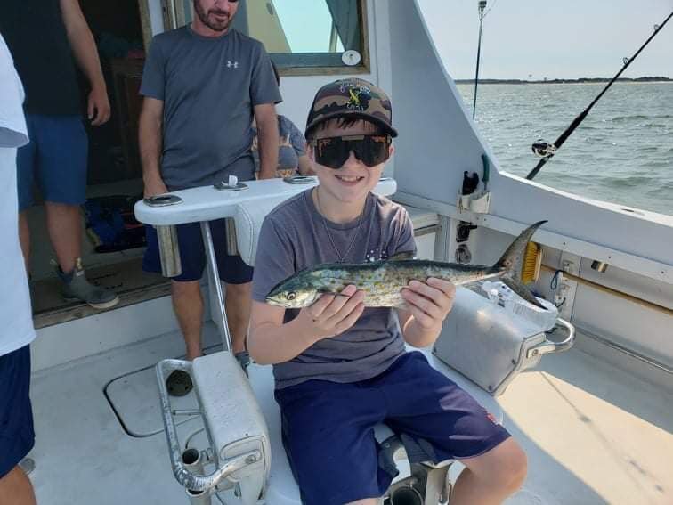 Spanish Mackerel