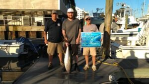 Sea Teaser Tuna Fishing Charter