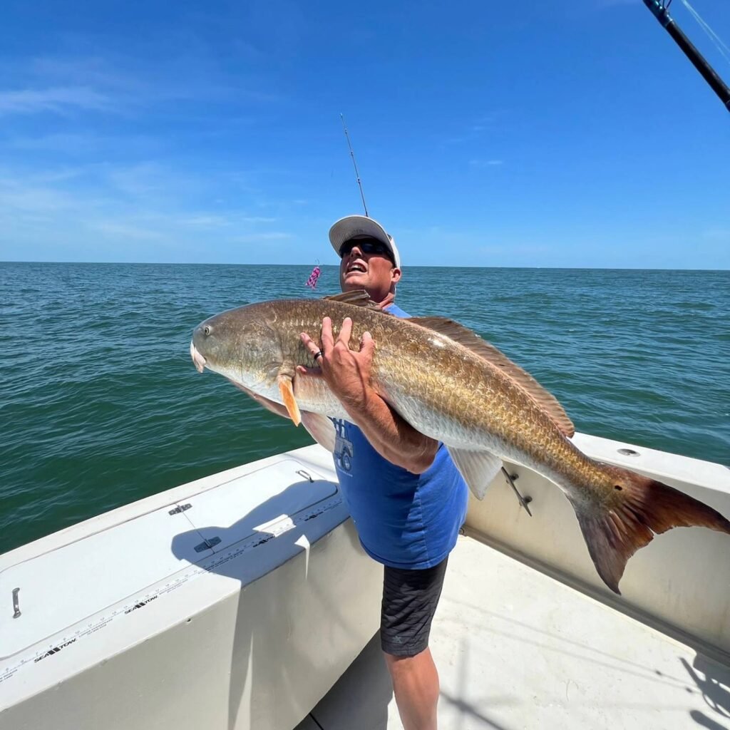 Massive Drum caught in Virginia Beach on Sea Teaser Sport Fishing Charter